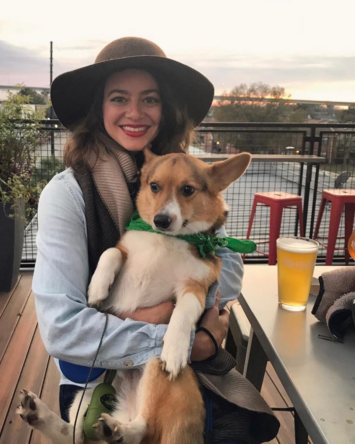dog 2.jpg